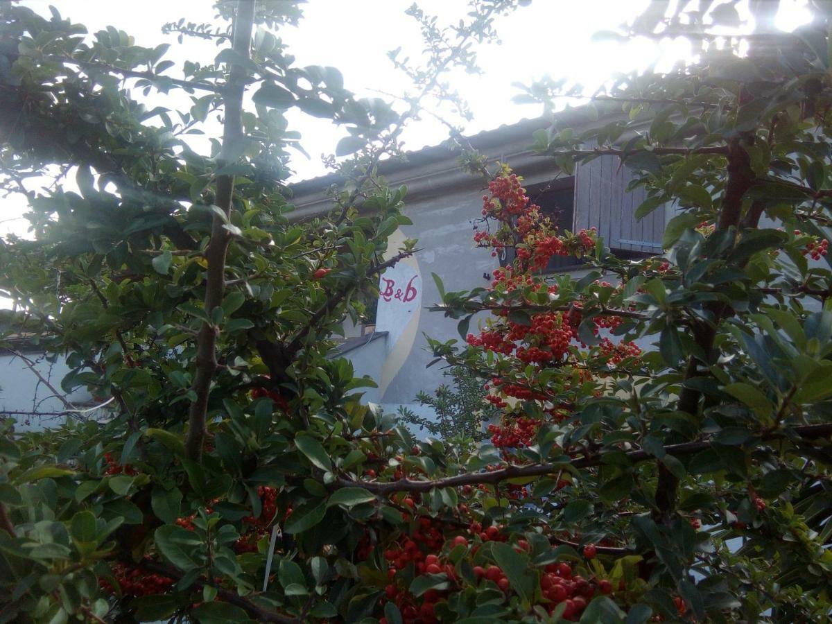 Casa D' Artista B&B Ozieri Exterior foto