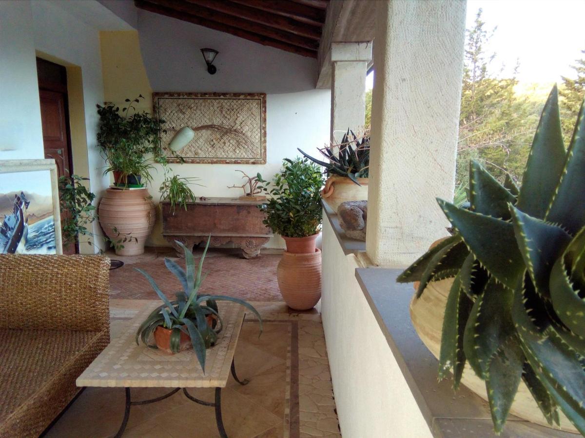 Casa D' Artista B&B Ozieri Exterior foto